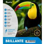 Papel Fotográfico A4 Alto Brillo Inkjet 200 Gramos x 20 Und