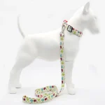 collar_para mascotas_sublimar_reata_gruesa_resistente_mascotas_perros_gatos_marcaidea